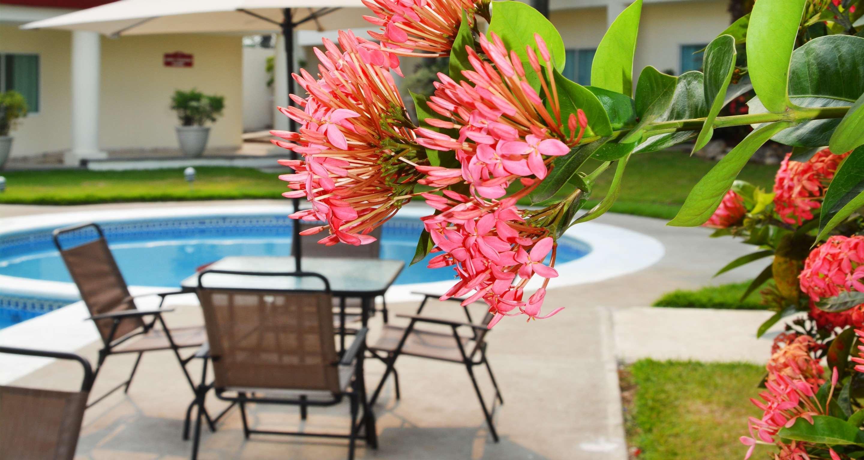 Best Western Plus Tuxtepec Extérieur photo
